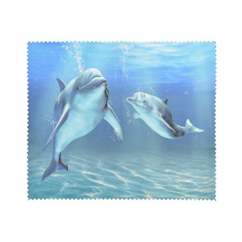 Dolphins Dolphins