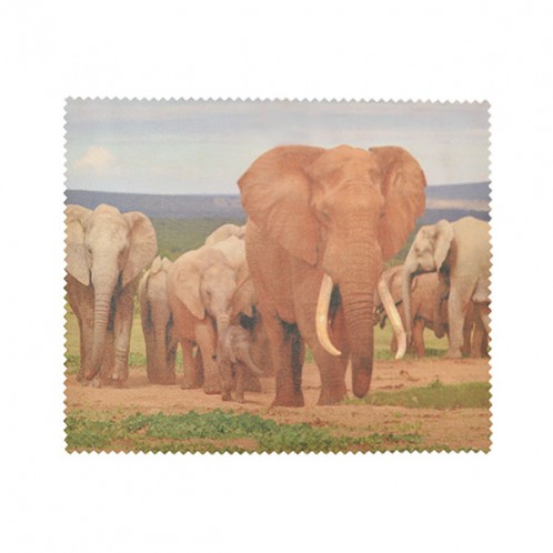 Elephants Elephants