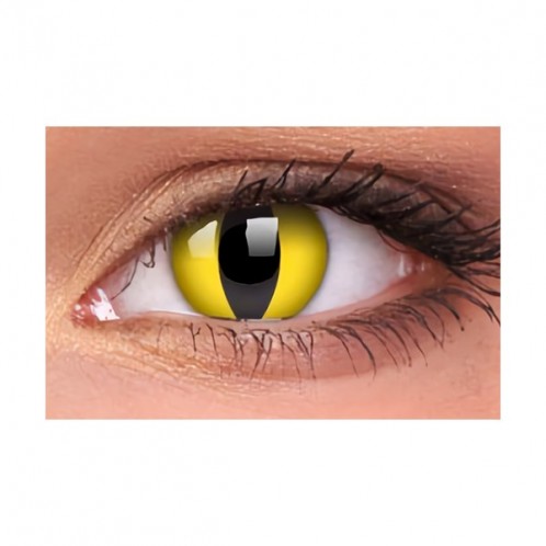 Cat Eye Yellow 1-Day Cat Eye Yellow 1-Day