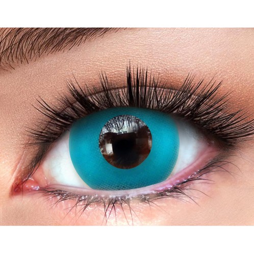 Turquoise 1-Day Turquoise 1-Day